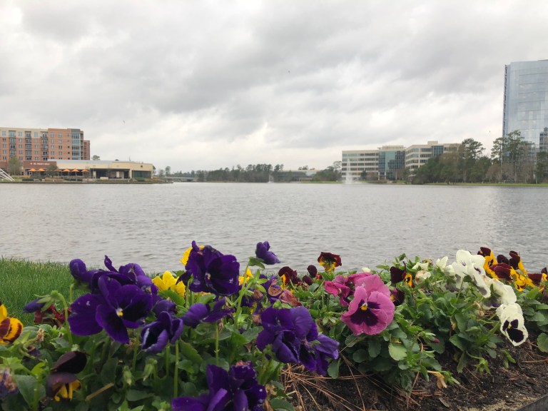 63F0E729-0694-4500-A534-ABE93AFD1B5F