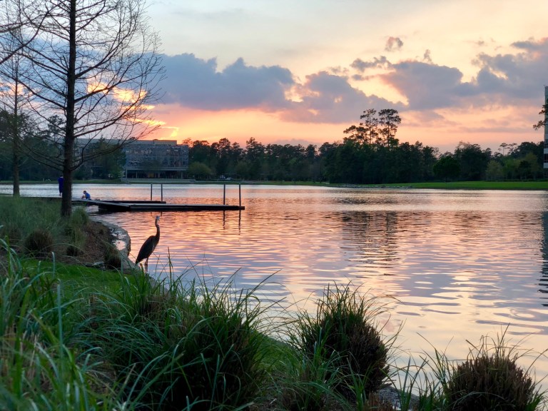 720C90B2-E483-4835-BB19-5D7F429C301B