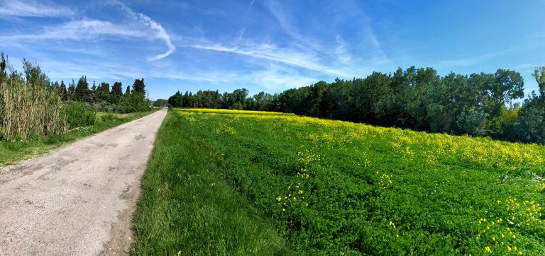 10AA7BBF-6849-4B45-9D53-A3F382EBB592