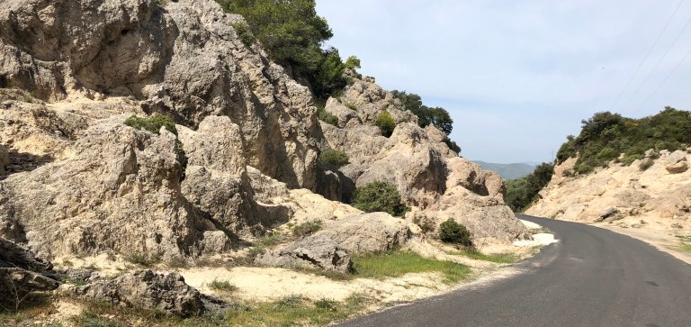 219547FB-E0EE-4D56-9556-773315BC319E