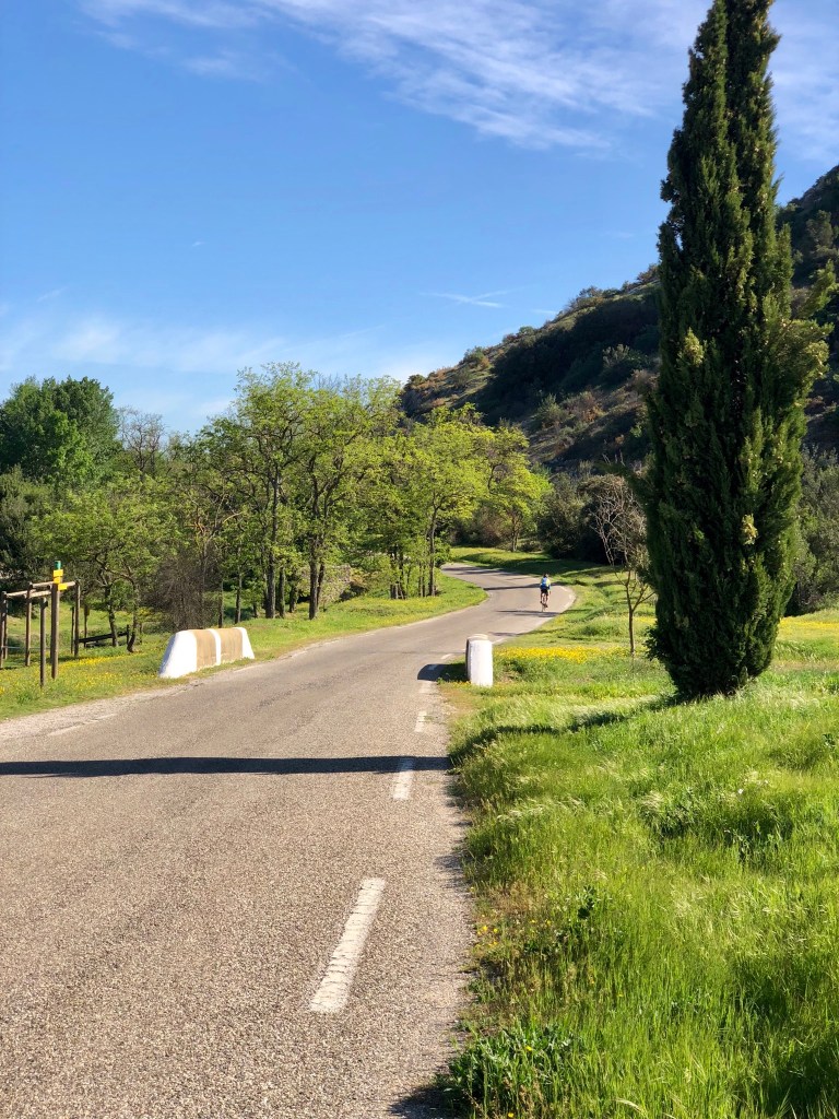 312FB254-DA24-46F8-AFFD-61886BF91A6A