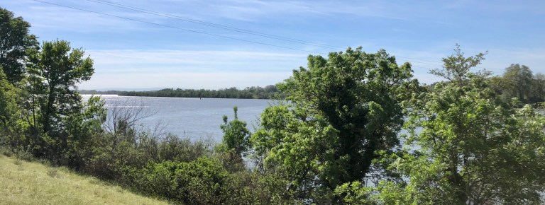 459B0A71-6A59-4221-A450-10931B1AC16C