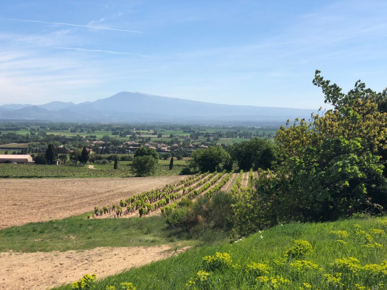 479CA05C-6FEC-4212-90ED-8FE36A9DE755