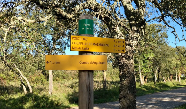 5DD21963-C5FF-4901-851A-66D38C86C3BA