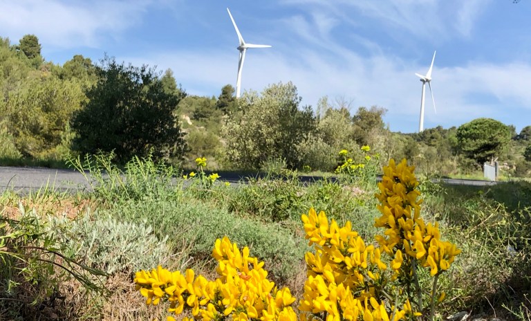 6024FD1C-649C-4317-ACD4-1A5154047A89