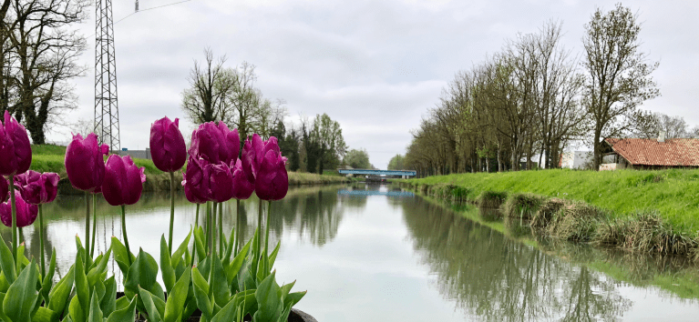 68B24696-7FCE-4864-87FA-CD392F1FCDBB