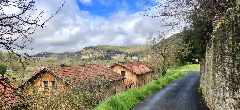 6C44AF56-1ED8-4096-9A04-D93BD4A2EED4