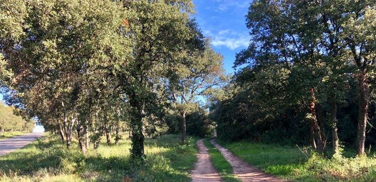 89109D29-4D1C-4692-947C-CA46B58008B7