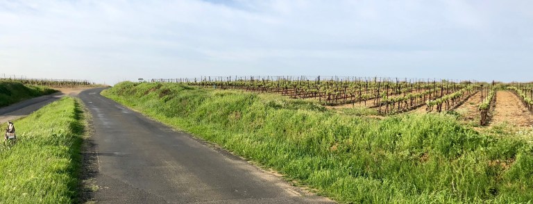 8DF13F69-F83B-4C99-8202-CFCDDA0C9E02