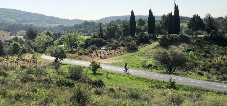 AED6E74E-06B0-41A9-81FF-0B3C391159AD