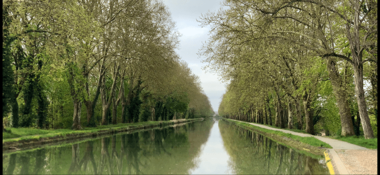 CC875173-2814-4F10-AFDA-7B9EDE8C5DDD