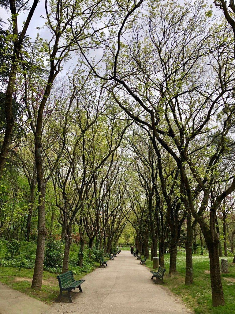 D8CDD3CC-F4AF-4C52-A18C-D433069E2BED