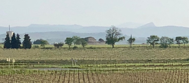 D93B4D95-DC4B-471A-845A-B7FF2FB1B98C