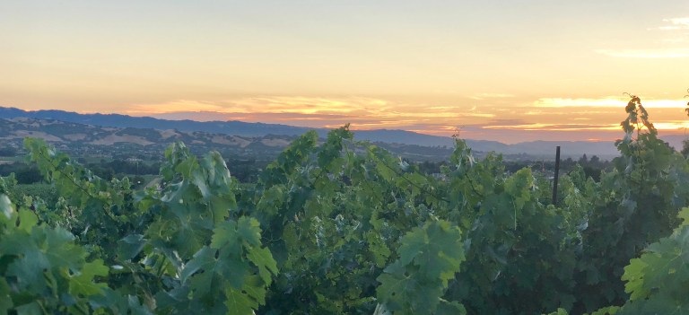 040B0907-93BE-4CEE-BFBF-3C757D3AA156