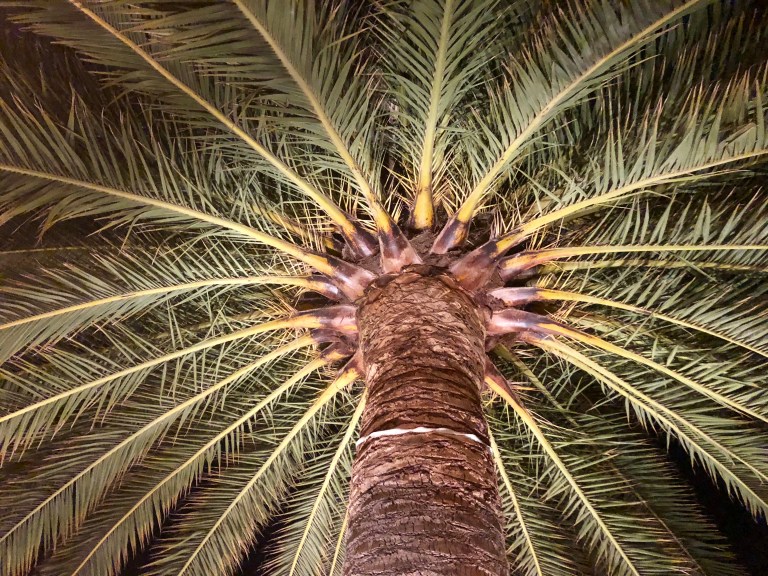 1871E0C3-50D2-4F01-A889-968562CD8D34