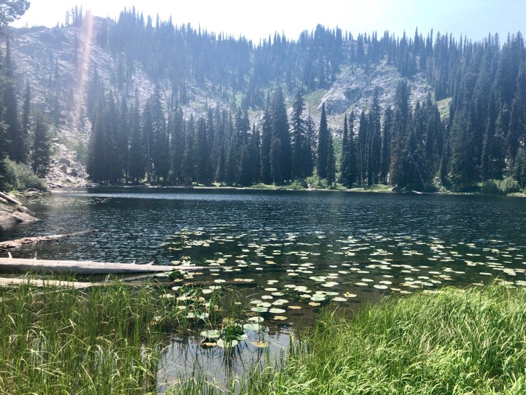 1D0BB18A-7B31-415C-967E-863A890D4452