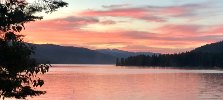 42B5CC81-2F8C-4156-A6A1-1C6BFFE89C9F