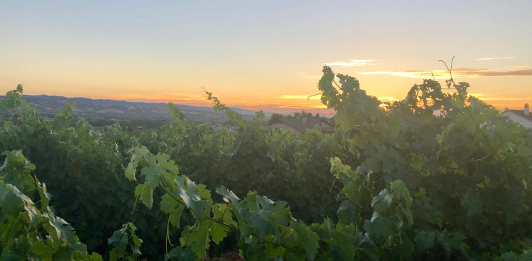 5287A299-5557-4FEC-9558-C753691CB1AD