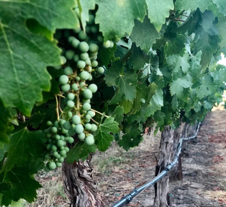 55F7964B-5740-41D9-8951-2D337997CA25