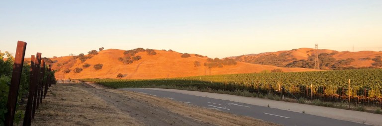 B3F96407-C247-4C7A-BFE2-8CFAFF76AC12