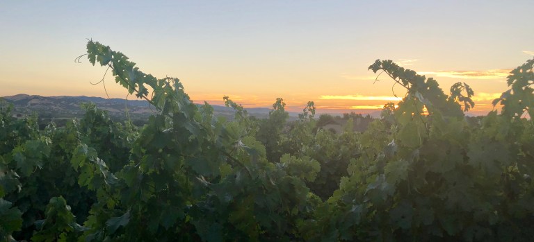 CB896E7D-03B1-4BA8-BE59-9E8FCF3C3204