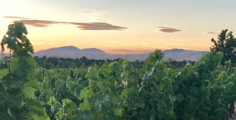 F3971264-7EB1-4E66-9E06-60D21478BD09