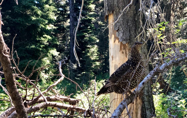 3109E301-1BBB-4DB6-854B-D8A3E81619C5