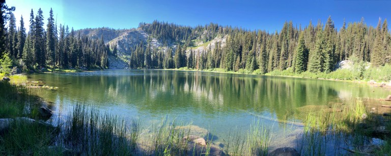 CDC99DD9-6376-4672-AA92-C25FA61C3F7B