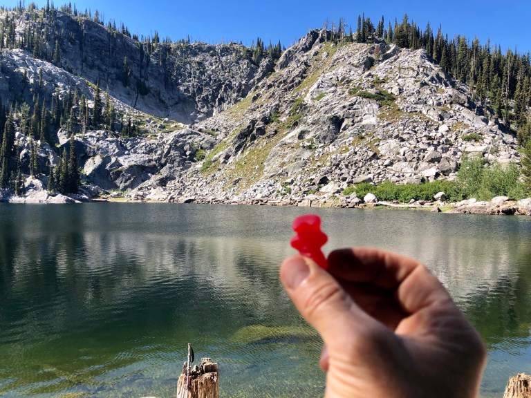 D342E8BA-5BF3-47FE-A1FA-3E9F8FBDCC3F