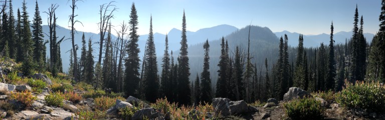 IMG_9972.JPG