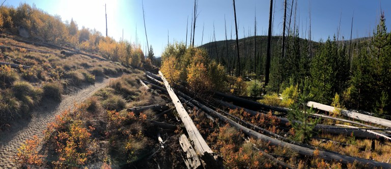 KRJNB1IbSy6wmWC9eBlIAg