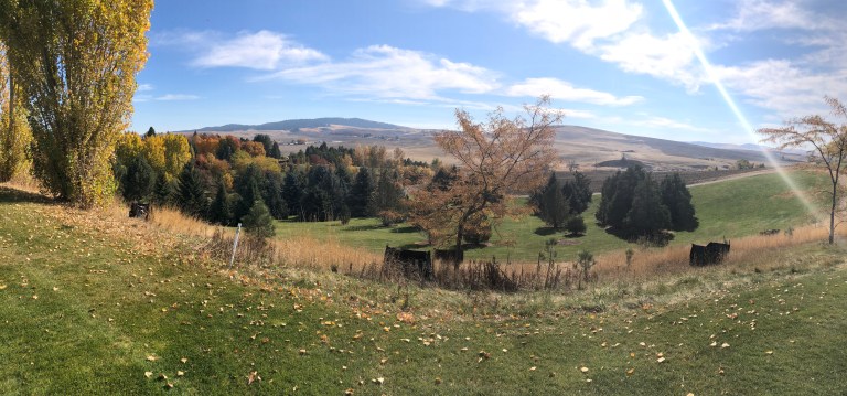 XqCqulNkRH6zpZ+0CC+dEg