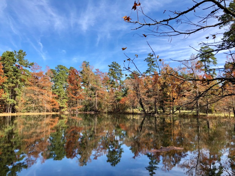 4BE49E3E-4786-4D89-B5F0-6BB9652F6844