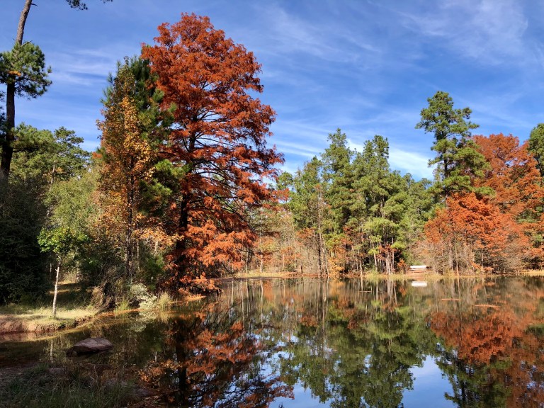 50A5A189-2E31-48BE-A8F2-564EB53C5314