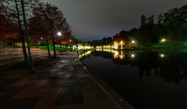 David BeckThe Woodlands Texas DSC01984