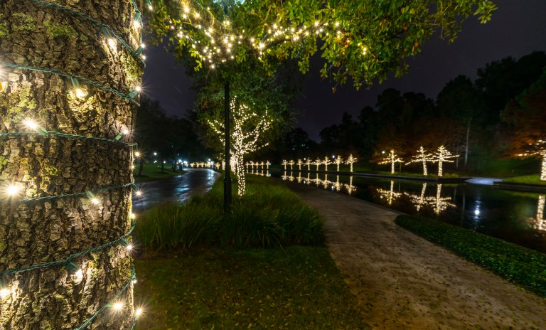 David BeckThe Woodlands Texas DSC01994