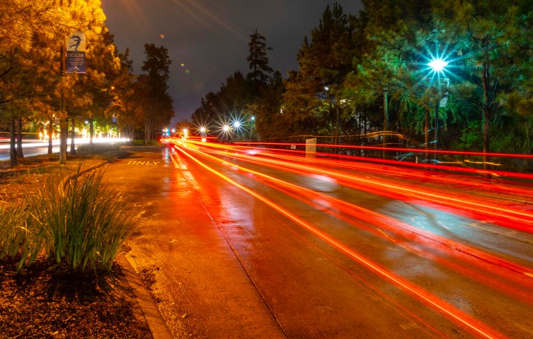 David BeckThe Woodlands Texas DSC01999