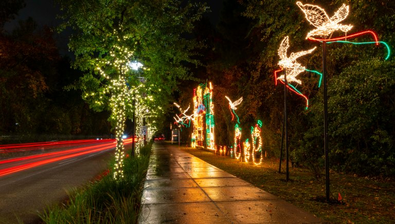 David BeckThe Woodlands Texas DSC02008