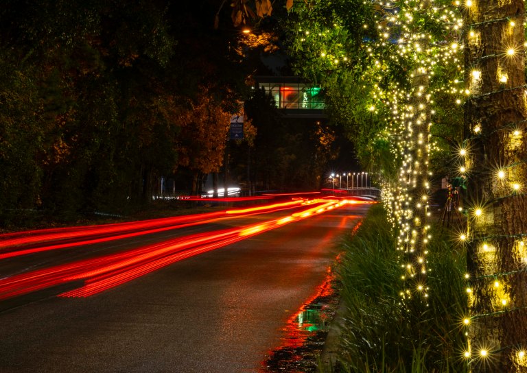 David BeckThe Woodlands Texas DSC02014