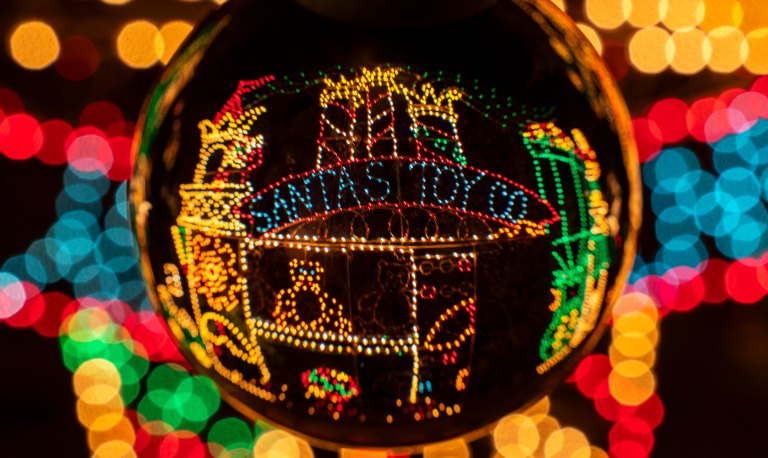 David BeckThe Woodlands Texas DSC02022