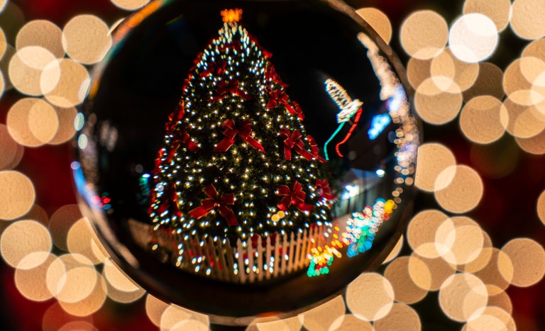 David BeckThe Woodlands Texas DSC02033