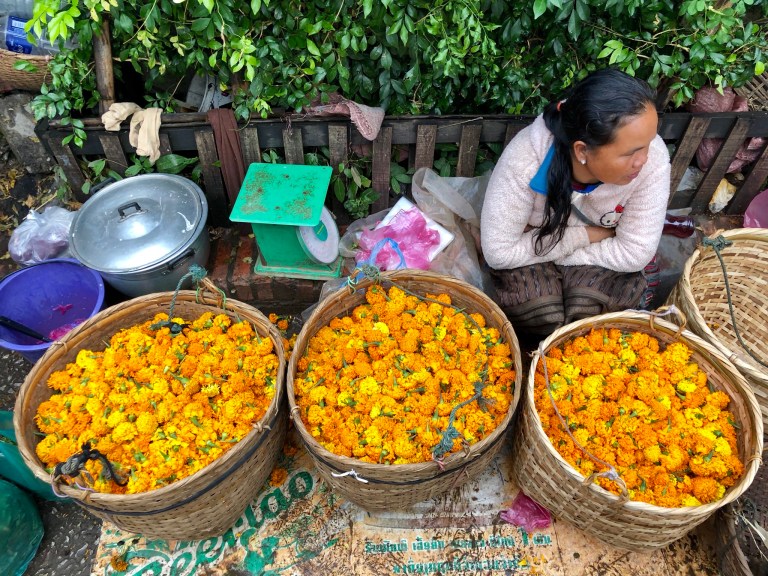 1E0E0ADD-72BA-4F46-BD30-8F521CAC5BB1