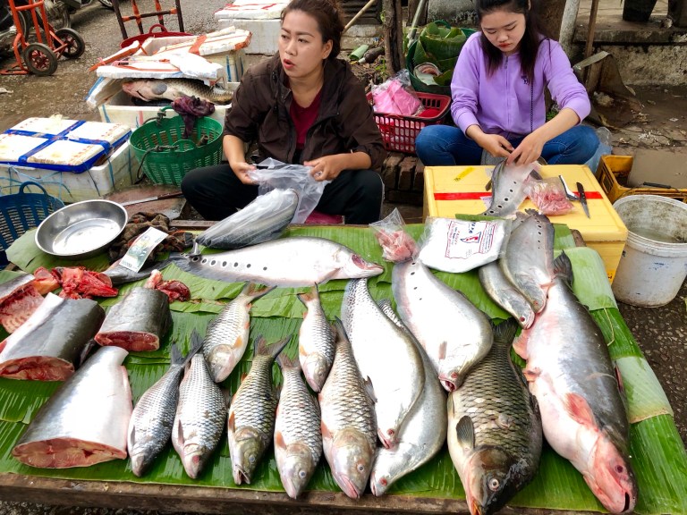 2F1447DF-C451-4CF6-BCC3-10D582A89719