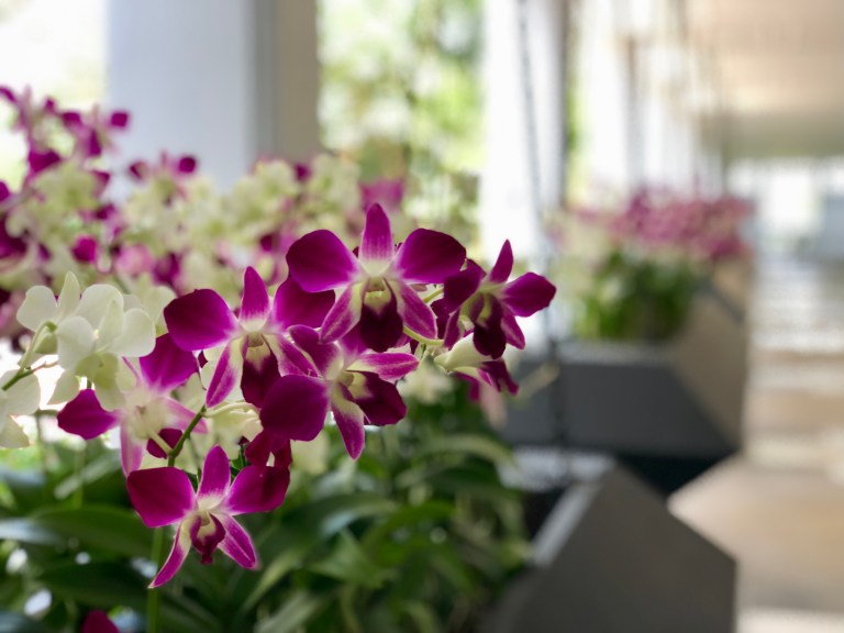 3BD4498B-BDE8-434B-9429-0C487B41C582