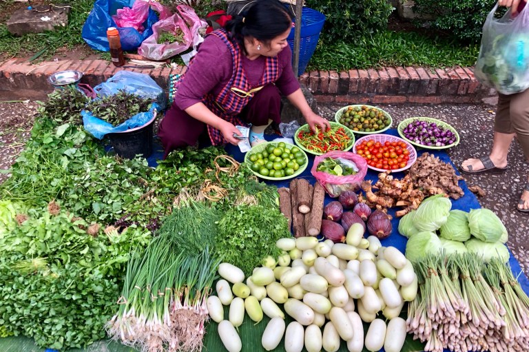 48F093CF-BB64-49C6-BE85-0F4CFB1619D6