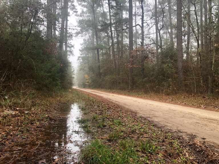 CF8B01D8-FCF2-4A5D-A91E-374306E240EE