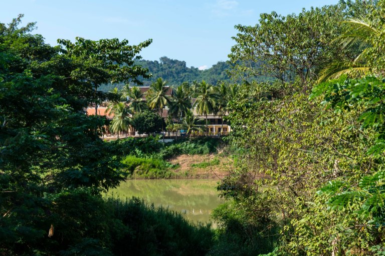 David BeckLaung PrabangDSC02213