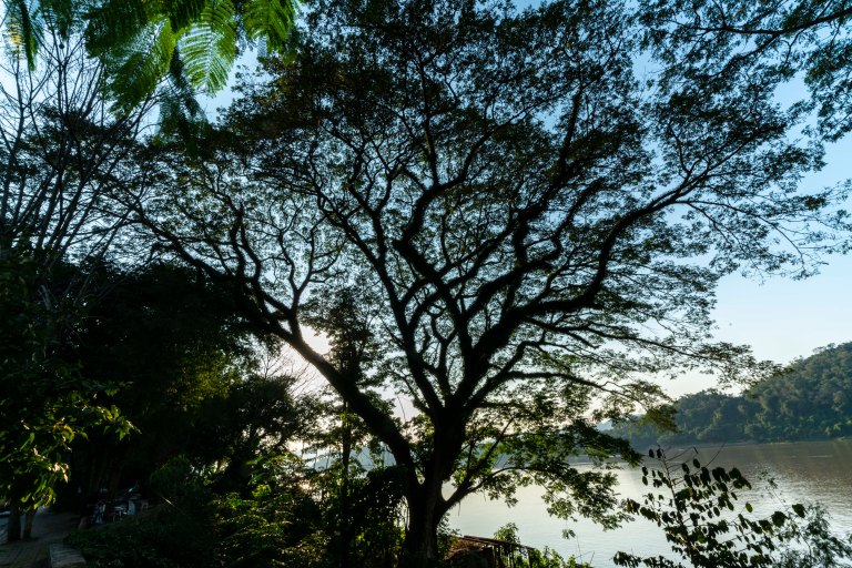 David BeckLaung PrabangDSC02284