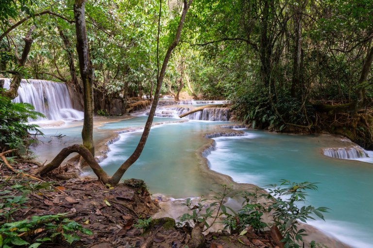 David BeckLaung PrabangDSC02382