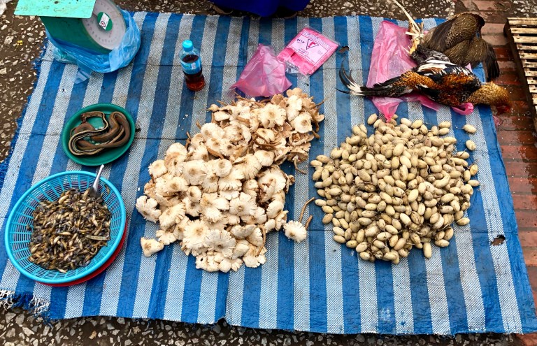 F7A60917-6C30-4001-9F73-D1E838486A17